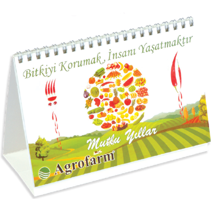 Bristol Kağıt Destek