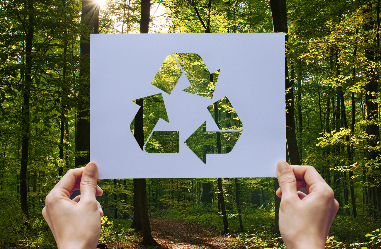 Yoncahes’ten Sürdürülebilirlik Adımı: Artık Tüm Kâğıtlarımız FSC Sertifikalı!